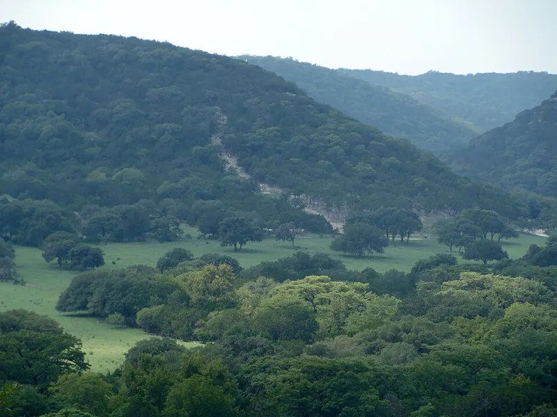 Pasture to Patio: The Comal County Landmarks We're Losing — and the Ones Rising in Their Place